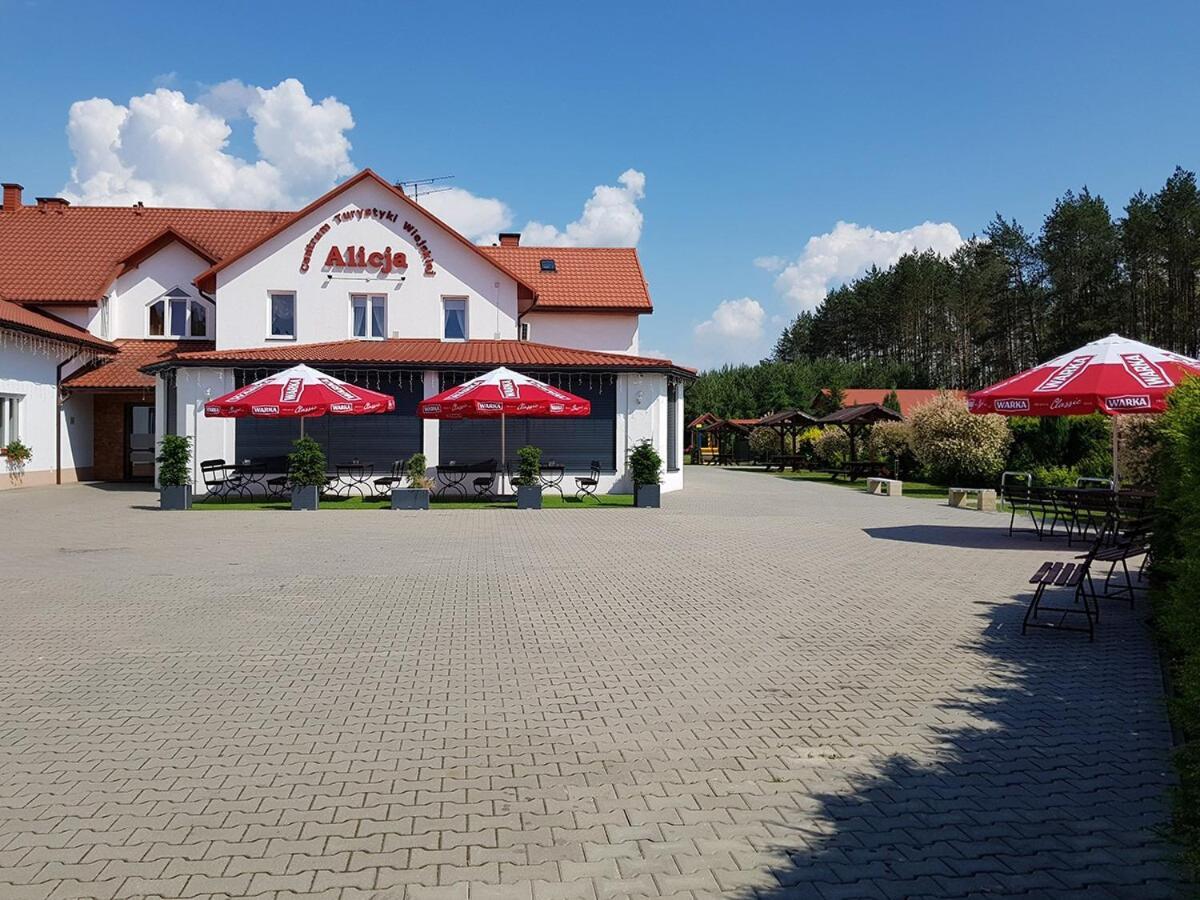 Centrum Turystyki Wiejskiej Alicja Ksiezpol Extérieur photo